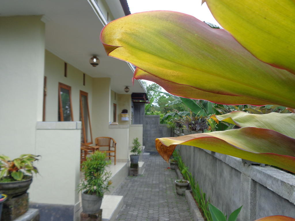 Sintya Homestay Ubud Zewnętrze zdjęcie